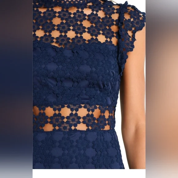 NWT PETAL+PUP LAUREN DRESS Elegant Navy Lace Midi Dress SZ 2 - Picture 7 of 12